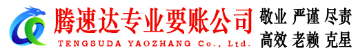 南丰腾速达收债公司